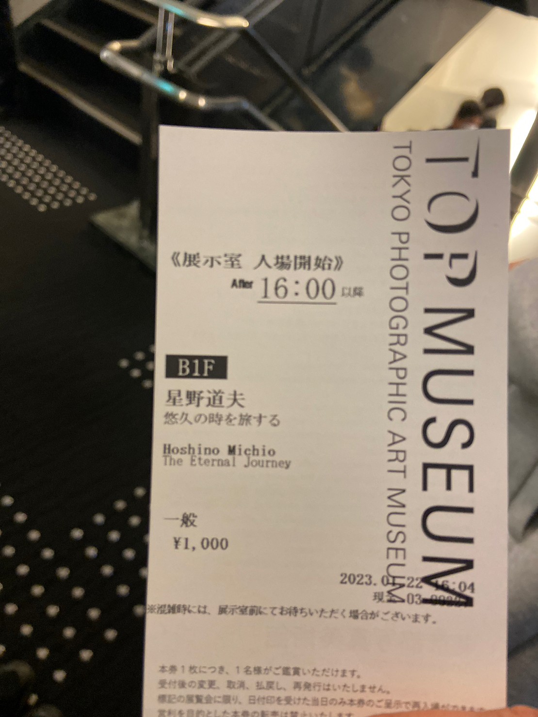 フォト1泊やもさん写真