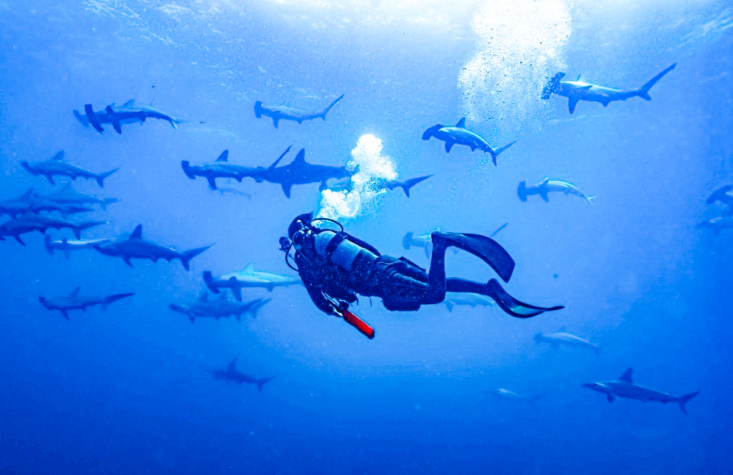 絵心が欲しいって話