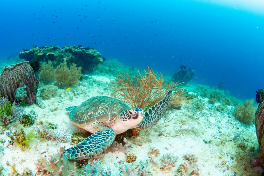 LINE ALBUM 2026.1.21 260210 1