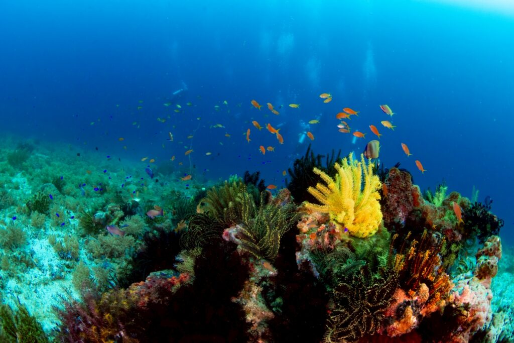 LINE ALBUM 2026.1.21 260210 3