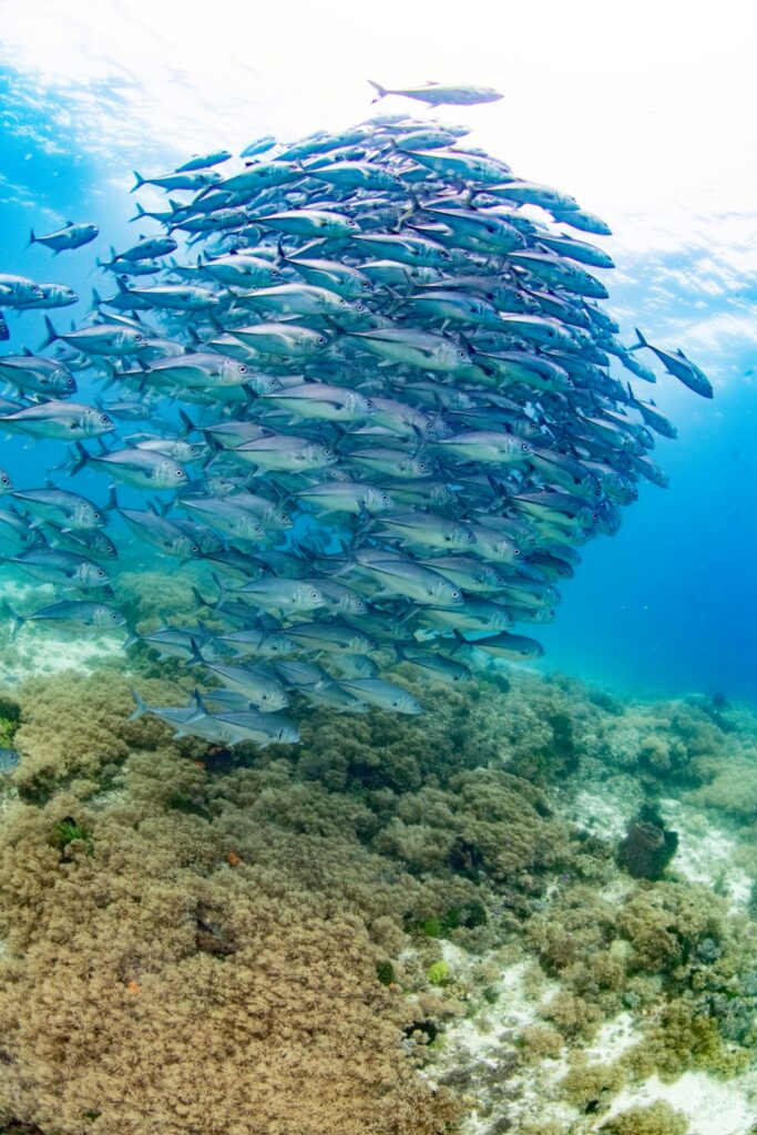 LINE ALBUM 2026.1.21 260210 4