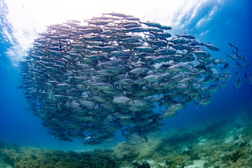 LINE ALBUM 2026.1.21 260210 5