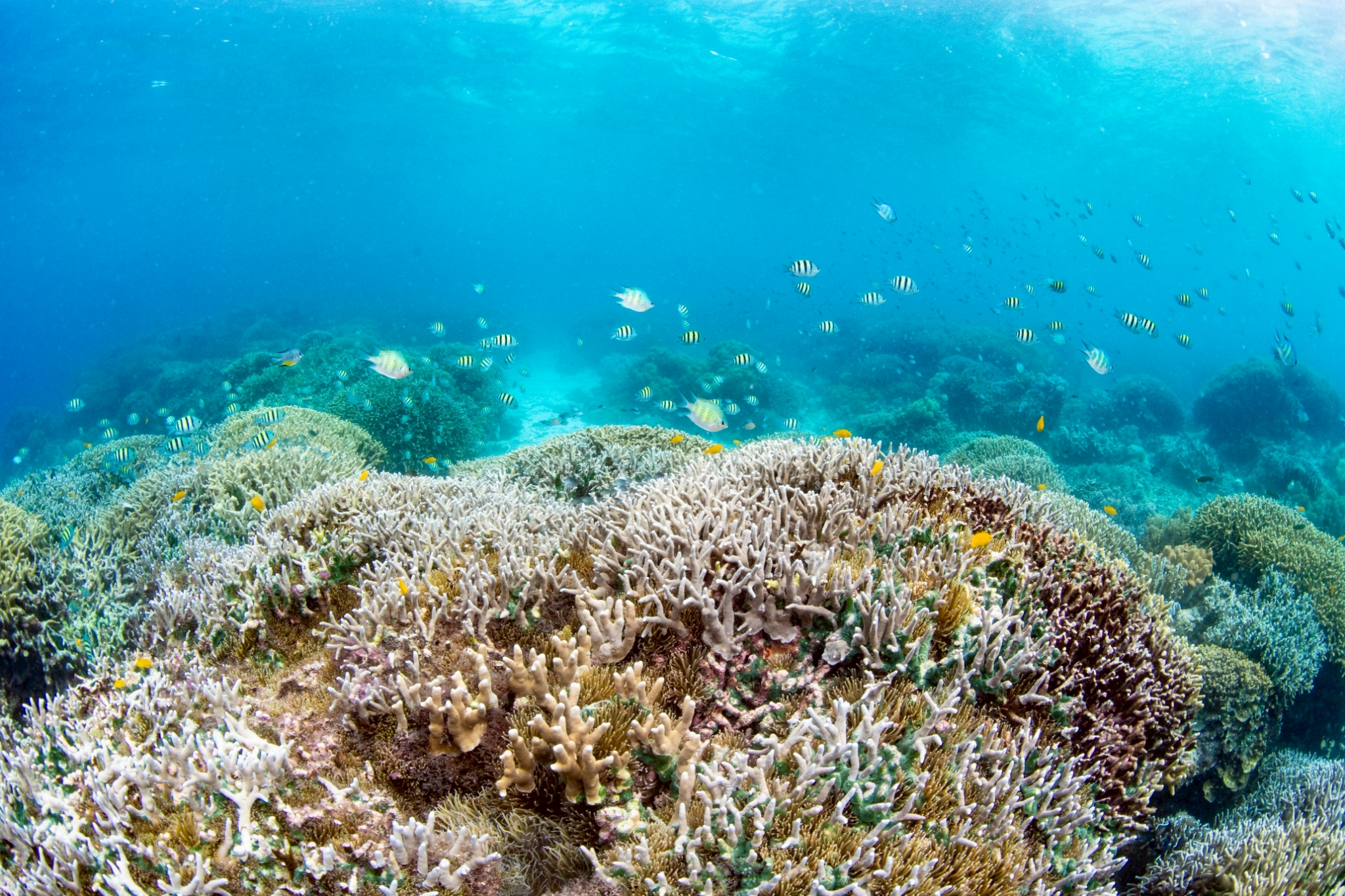 LINE ALBUM 2026.1.21 260226 3