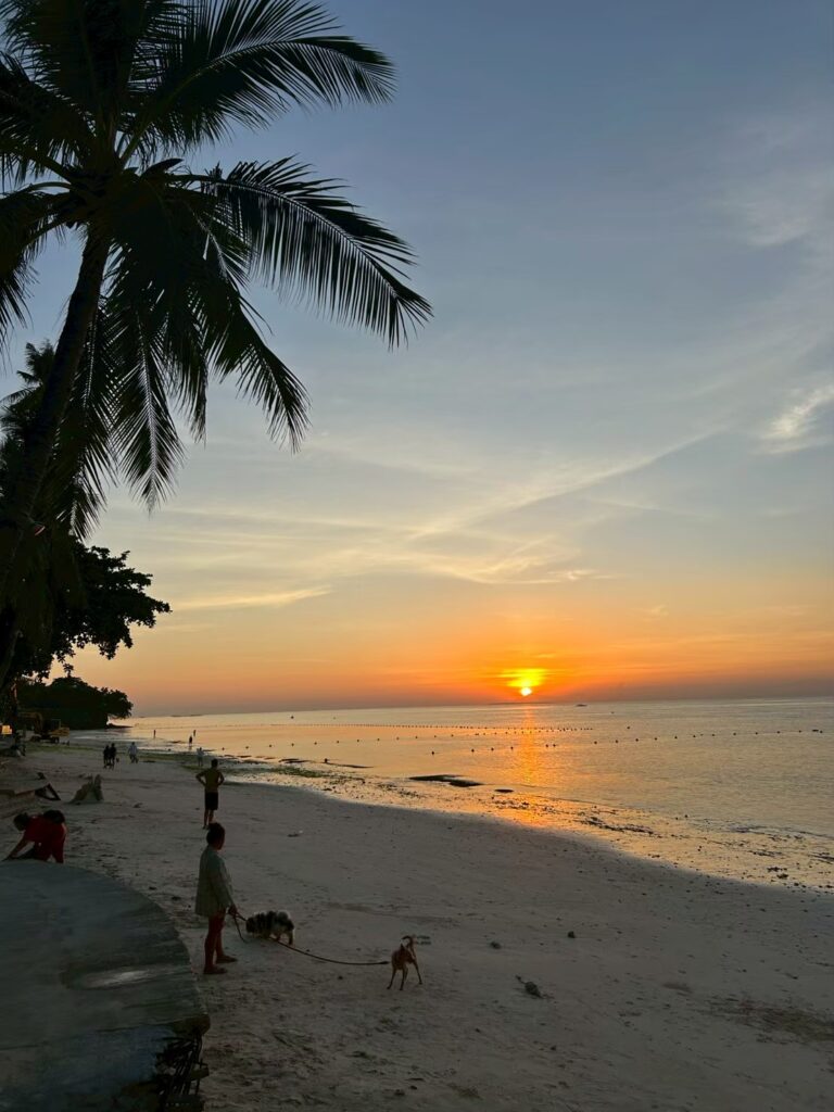 LINE ALBUM 20260119 260226 8