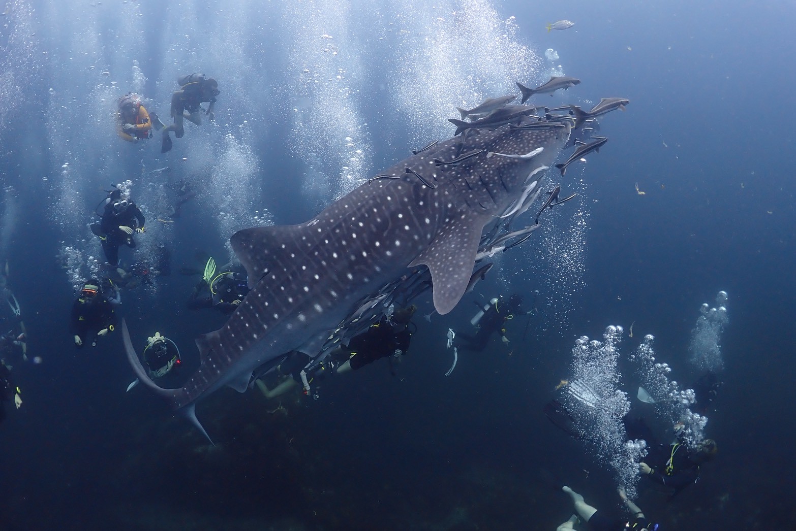 LINE ALBUM 20260222 260226 12 1