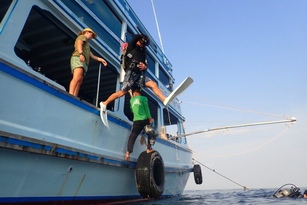 LINE ALBUM 20260222 260226 13