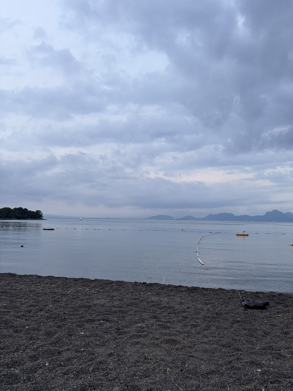 S 65896562 0